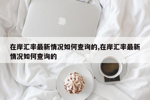 在岸汇率最新情况如何查询的,在岸汇率最新情况如何查询的