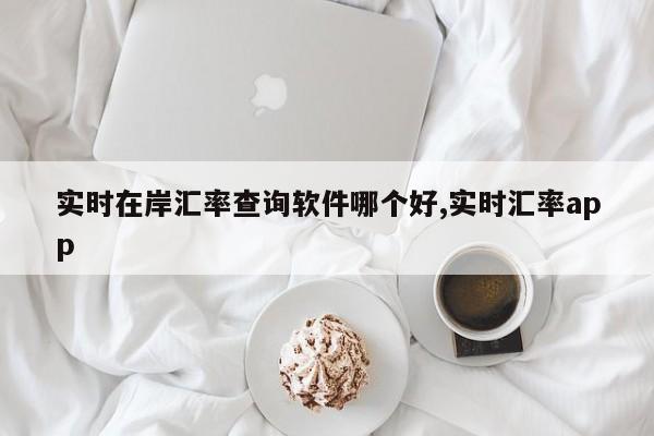 实时在岸汇率查询软件哪个好,实时汇率app