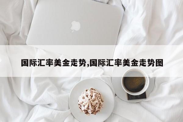 国际汇率美金走势,国际汇率美金走势图